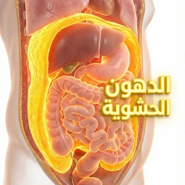 الدهون الحشوية: ليست مجرد "كرش".. إنها جهاز سام يعمل ضدك